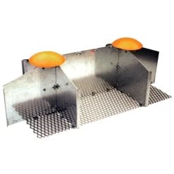 Double Ground Anchor